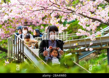 Matsuda, Präfektur Kanagawa, Japan - 22/02/2020: Asiatischer Vater und Kind, der eine Gesichtsmaske zum Schutz vor Viren trägt, spielen und genießen das frühe Kaw Stockfoto