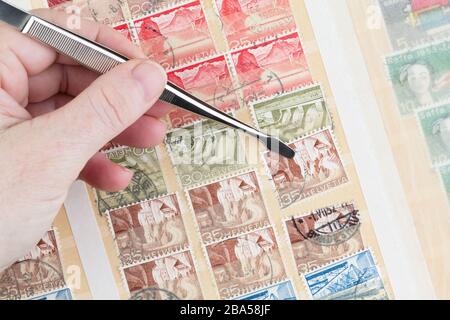 SEATTLE, WASHINGTON - 22. März 2020: Nahaufnahme der Handhalterzangen, Entfernen der alten Schweizer Briefmarke aus dem vollen Aktienbuch. Stockfoto