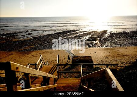 Coronavirus Covid19 Global Pandemie relevantes Bild Stockfoto