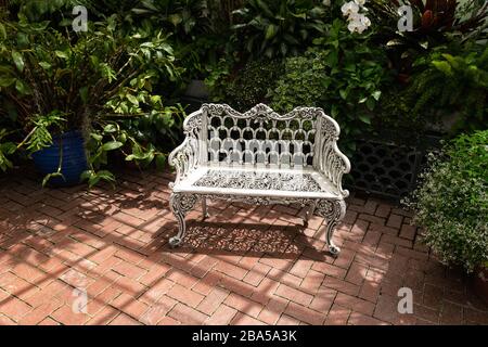 Asheville, North Carolina - 24. Juli 2019 - Bank unter tropischen Pflanzen für Besucher im Inneren des Gartenkonservatoriums. Stockfoto