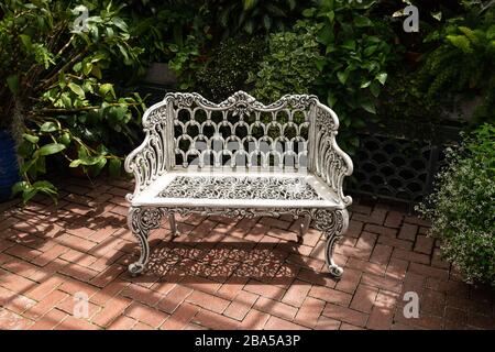 Asheville, North Carolina - 24. Juli 2019 - Bank unter tropischen Pflanzen für Besucher im Inneren des Gartenkonservatoriums. Stockfoto