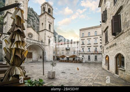 Eine streunende orangefarbene Tabby-Katze sitzt auf einem Stadtplatz vor der Kathedrale von Saint Tryphon im mittelalterlichen Zentrum der Altstadt von Kotor, Montenegro Stockfoto