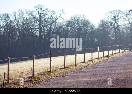 Zaun im Winterpark, Gras bedeckt mit Rime Stockfoto