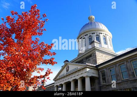 Old Montreal, Kanada - 25. Oktober 2019 - der Blick auf den Markt von Bonsecours, umgeben von markanten roten Farben aus Herbstlaub Stockfoto