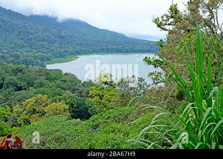 Lake Danau Buyan, Bali, Indonesien Stockfoto