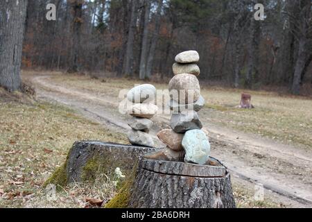 Felsenstapel auf Baumstümpfen entlang EINER Einfahrt im Wald Stockfoto