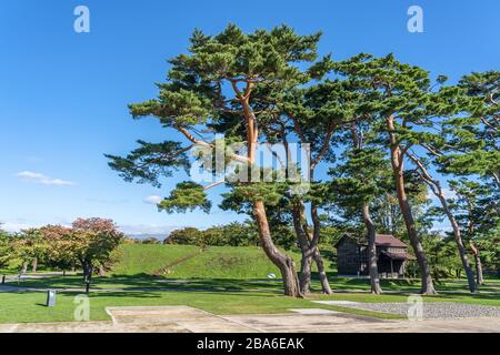 Goryokaku Park, EIN von Sternen geformter Fort-Park in der Stadt Hakodate, Hokkaido, Japan Stockfoto