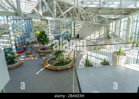 Die Aussichtsplattform des Goryokaku Tower bietet einen kompletten Blick auf den Park, das wunderschöne sternförmige Fort. Hakodate City, Hokkaido, Japan Stockfoto