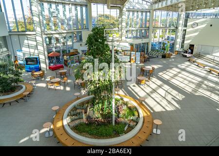 Die Aussichtsplattform des Goryokaku Tower bietet einen kompletten Blick auf den Park, das wunderschöne sternförmige Fort. Hakodate City, Hokkaido, Japan Stockfoto