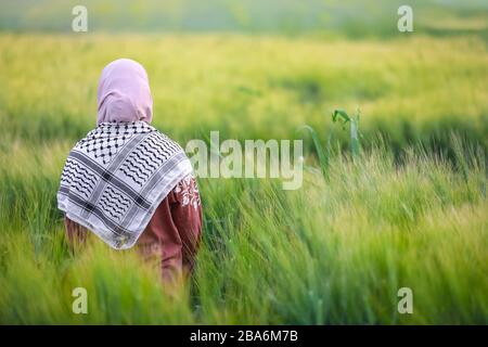 Palästinensische Bauernfrau, die inmitten von frischen grünen Weizenpflanzen auf der Farm steht und Palestine Kufiya traditionellen Schal trägt Stockfoto