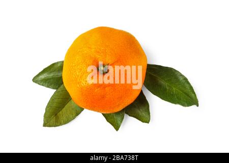 Reifen Mandarine mit Blättern auf weißem Hintergrund Stockfoto