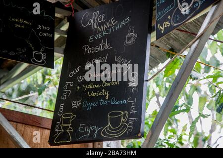 Kaffee macht alles möglich, da Lat, Vietnam Stockfoto