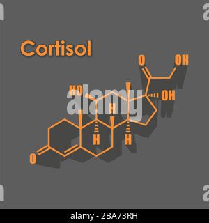 Steroidhormon Cortisol Stock Vektor
