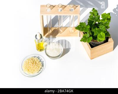 Gelbe Kosmetikfarbe (Öl), mikrokristallines Wachs und Candelilla Wax. Chemikalien für die Schönheitspflege schön in einem weißen Hintergrund angeordnet. Stockfoto