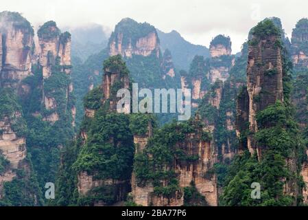 Wunderschöner Blick auf die natürliche Säule aus Quarzsandstein im Zhangjiajie National Forest Park im Wulingyuan Hunan China Stockfoto