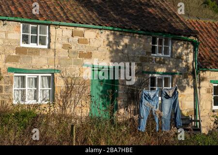 Zwei Jeans mit Denim-Paar, die an einer Waschstraße in einem Garten in der Rievaulx Abbey North Yorkshire zum Trocknen hängen. Stockfoto