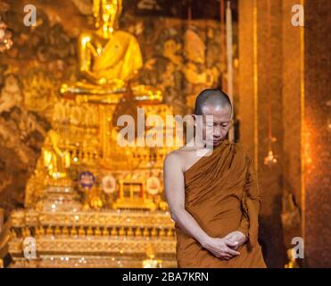 Thailand, Bangkok: Buddistischer Mönch betet im Wat Pho Tempel Stockfoto