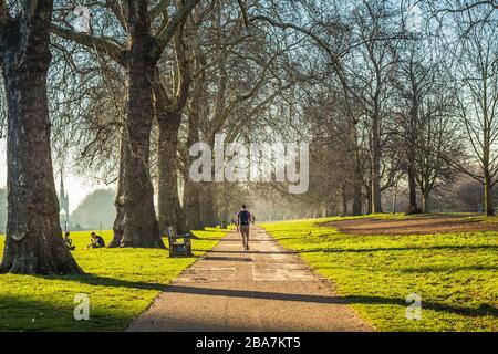 Unerkennbares junges Männchen, das durch einen Park geht, von hinten geschossen. Stockfoto