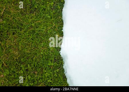 Schnee auf grünem Gras schmelzen, wie zwischen Winter und Frühlings-Konzept Stockfoto