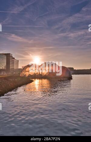 Rotterdam - 14. Februar 2019: Rotterdam, Niederlande die Sonne steigt hinter dem schwimmenden Pavillon auf und schwimmt früh am Morgen auf der Wate Stockfoto