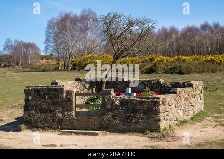 ASHDOWN FOREST, EAST SUSSEX/UK - 24. MÄRZ: Blick auf das Grab des Airman in Ashdown Forest East Sussex am 24. März 2020 Stockfoto