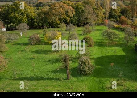 Blick auf den Obstgarten im Sissinghurst Castle Garden, in Sissinghurst, Weald, Kent, im Herbst. Stockfoto