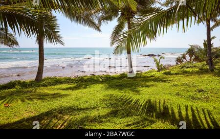 Tropische Landschaft mit Palmen und Meer. Stockfoto