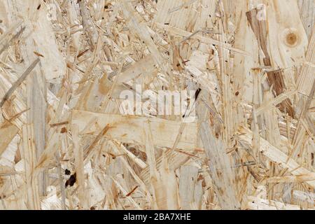 Bauholz: Struktur einer orientierten Strand-Platte: Detail einer orientierten Strangplatte, aus verschiedenen Arten von Nadelholzsträngen Stockfoto