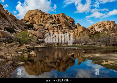 In diesem Schuss reflektieren bunte Felsen und Felsbrocken im Stillwasser des Barker Dam im Joshua Tree National Park, Kalifornien, USA. Stockfoto