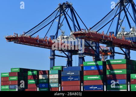 Rotterdam, Niederlande - August 2019; Tiefwinkelansicht des Abschnitts des Containerschiffs, Umgang mit "von Land zu Land" im Terminal mit Gantry-Kränen RI Stockfoto