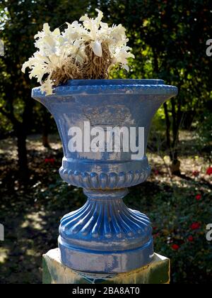 Blau glasierte Pflanzentopf in den königlichen Gärten von Real Alcazar in Sevilla, Spanien Stockfoto