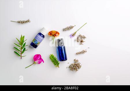 Flaschen Aromatherapy ätherische Öle, frische und getrocknete Lavendelsamen, Blumenblatt und Kräuter Stockfoto