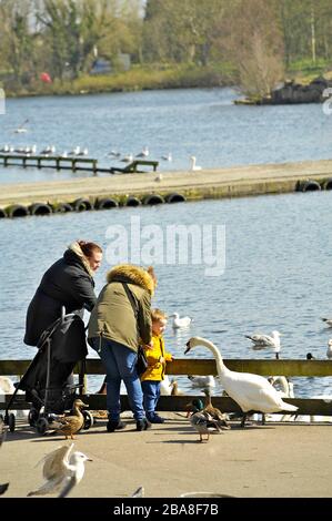 Zwei Frauen mit kleinem Kind füttern die Enten am Stanley Park Lake, Blackpool Stockfoto