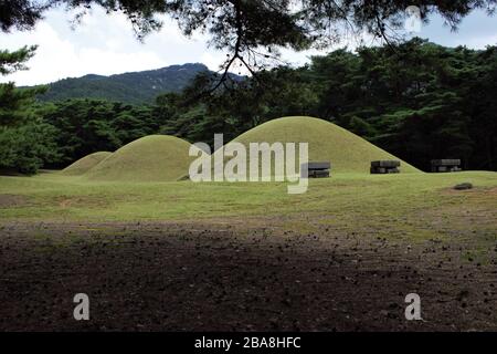 Königsgräber von Samreung, Samneung in Gyeongju, Südkorea Stockfoto