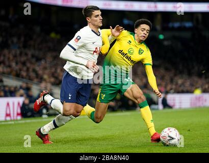 Erik Lamela (links) von Tottenham Hotspur und Jamal Lewis von Norwich City Stockfoto