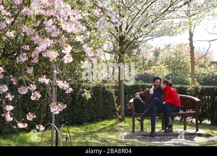 AM FREITAG, DEN 27. MÄRZ, SITZEN Ruslan Thaher und Marissa Szabo unter blühenden Bäumen im Kyoto Garden im Holland Park, London. Der National Trust fordert die Menschen dazu auf, die Blossensaison in Großbritannien zu feiern, indem er eine alte japanische Tradition, die die Ankunft des Frühlings markiert, nachahme und Menschen ermutige, die Bäume vom Fenster, in ihrem Garten oder auf der Straße in Blüte sehen können, um den Anblick zu pausieren und zu genießen. Und ihre Bilder für diejenigen, die sie nicht sehen können, in sozialen Medien zu teilen. Stockfoto