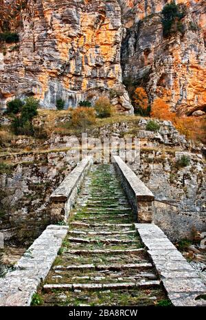 Zagoria REGION, Präfektur Ioannina, Epirus, GRIECHENLAND. 'Missios' Stein bogenförmige Brücke auf dem Weg zwischen Vitsa und Koukouli Dörfer. Stockfoto