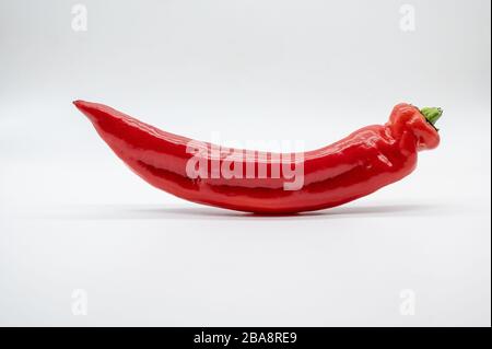 Ein schön geformter süßer Pfeffer isoliert auf weißem Hintergrund Stockfoto