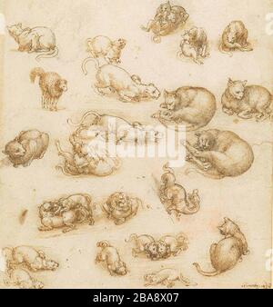 Malerei, Kunst, leonardo, vinci, Antike, da, alt, berühmt, Geschichte, alt, alt, Jahrgang, Menschen, italien, Zeichnung, Symbol, Papier, Mann, Illustration, Wissenschaft, Körper, Biologie, männlich, historisch, Skizze, Wissenschaftler, Medizin, Struktur, Anatomie, leonardo da vinci, Renaissance, Textur, Struktur, Grunge, Physiologie, Museum, beschädigt, Grungy, Seite, Text, Nahaufnahme, italienischer Künstler, anatomischer Art, alter, alter, alter, alter, alter, alter, alter, alter, alter, alter, alter, alter, Alter Frau, Hintergrund Stockfoto