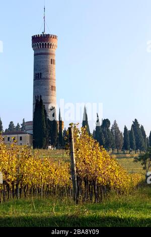 Weinberge des DOC-Weins San Martino della Battaglia. Im Hintergrund der monumentale Turm des italienischen Risorgimento. Lombardei, Italien. Stockfoto