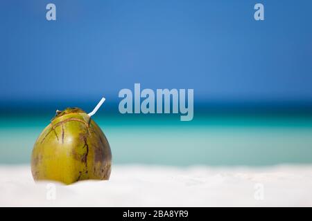 Boracay, Phillippinen, Insel, Kokosnuss am Strand Stockfoto