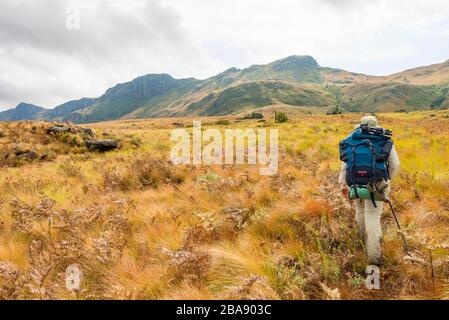 Ein Wanderer, der auf dem Turaco-Pfad in den östlichen Highlands Simbabwes zu sehen ist. Stockfoto