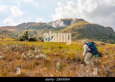 Ein Wanderer, der auf dem Turaco-Pfad in den östlichen Highlands Simbabwes zu sehen ist. Stockfoto