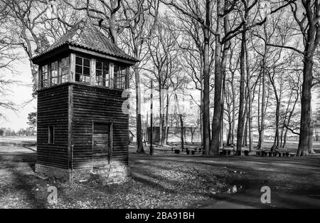 Wächterhütte, Birke Tree Meadow. Stockfoto