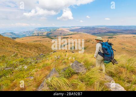 Ein Wanderer, der auf dem Turaco-Pfad in den östlichen Highlands Simbabwes zu sehen ist. Stockfoto