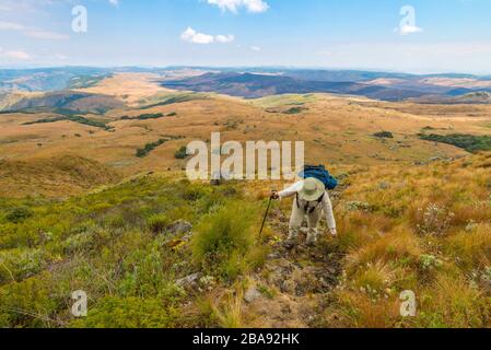 Ein Wanderer, der auf dem Turaco-Pfad in den östlichen Highlands Simbabwes zu sehen ist. Stockfoto