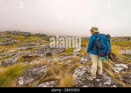 Ein Wanderer, der auf dem Turaco-Pfad in den östlichen Highlands Simbabwes zu sehen ist. Stockfoto