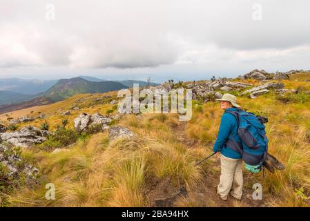 Ein Wanderer, der auf dem Turaco-Pfad in den östlichen Highlands Simbabwes zu sehen ist. Stockfoto