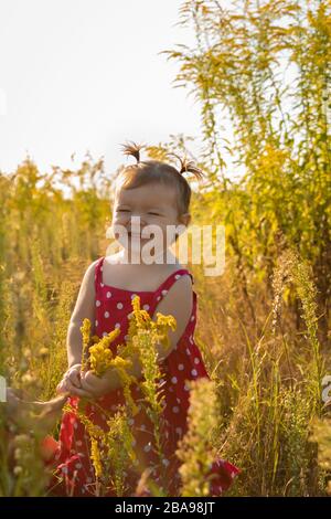 Kleines Mädchen spielt in der Natur. Babymädchen haben Spaß auf der Wiese und laufen barfuß auf dem grünen Gras. Lustige und unbeschwerte Kindheit. Stockfoto