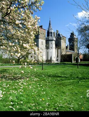 Cardiff Castle von Bute Park, Cardiff, Südwales, UK. Stockfoto